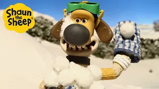 Shaun the Sheep 🐑 Snow Fight! - Cartoons for Kids 🐑 Full Episodes Compilation [1 hour]