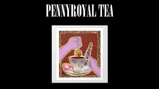 LITHIUM - PENNYROYAL TEA (NIRVANA TRIBUTE BAND)