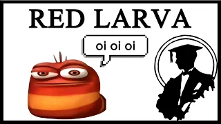 Why Is Red Larva Saying Oi Oi Oi?