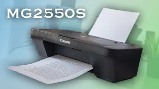 Canon PIXMA MG2550S - Egy egyszerű nyomtató