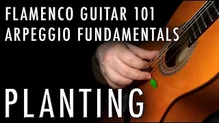 Flamenco Guitar 101 - 16 - Arpeggio Fundamentals and Planting
