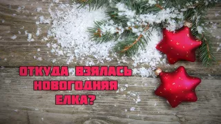 Откуда взялась новогодняя елка? || Абу Яхья Крымский