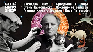 Рим Бродского, огонь Тарковского, Герман «Сеанса» и весь Петергоф #закладка №42 #ещенепознер