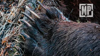 Giant Grizzly Bear in Alaska - The Trophy Room | Mark V. Peterson Hunting