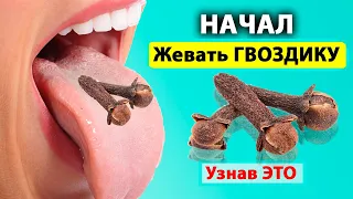 Просто начала жевать ГВОЗДИКУ и избавилась от 10 недугов !!! Польза и вред гвоздики.