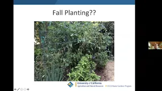 Fall Edible food growing