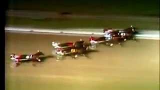 1973 Roosevelt Raceway SIR DALRAE U S Pacing Championship Jim Dennis