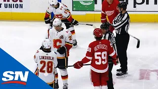 Play Stops Between Flames, Red Wings After Puck Hits Young Girl