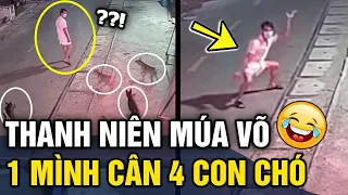 Bị TẬP KÍCH trong đêm, chàng trai 'ĐI ĐƯỜNG QUYỀN' cân 4 chú chó khiến dân mạng cười bò | Tin 3 Phút