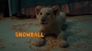 LENA AND SNOWBALL - 2021Trailer