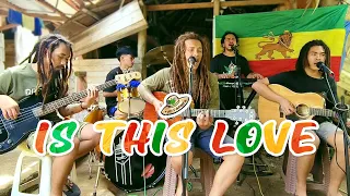 The Farmer - Is This Love Cover (Bob Marley)