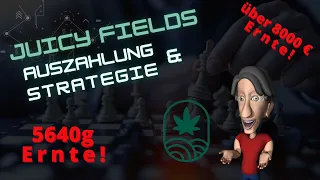 JuicyFields - Ernte, Auszahlung und Strategie | Juicy Fields beste Strategie 🌱