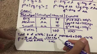 Chi-Squared Problems for Hardy-Weinberg Equilibrium