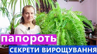 ПАПОРОТЬ ВИРОЩУВАННЯ ТА ДОГЛЯД 🌿 СЕКРЕТ ПИШНОЇ ПАПОРОТІ 💯