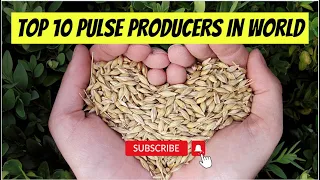 Top 10 Pulse Producers - Global Pulse Powerhouses