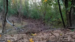 Left My Phone Recording In The Woods For 3 hours, Gets Crazy After Dark! Part 1 of 5