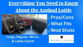 Aspinal of London Lottie Review: Large, Regular, Micro, & Clutch | Comparison, Mod Shots, What Fits