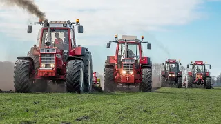 2x Case IH 1455XL + 956XL + 845!! | Cultivating with 4 tractors