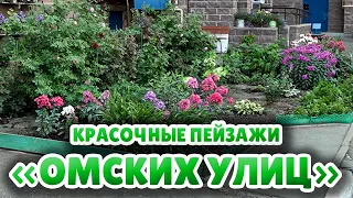 Омичи массово принимают участие в традиционном конкурсе «Омские улицы»