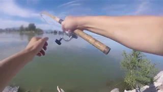 how I catch cat-fish at Utah lake