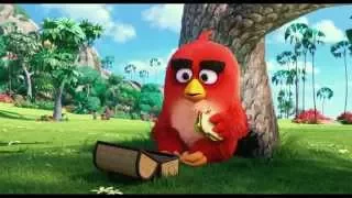 THE ANGRY BIRDS MOVIE In Theatres May 2016 Official Trailer #1