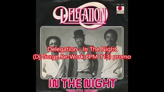 Delegation - In The Night (Dj Gurge Re-Work BPM 113) promo