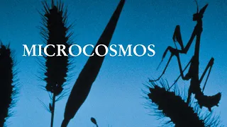 Microcosmos : le peuple de l'herbe - Bande annonce