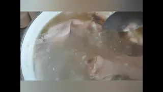 Суп для собаки🐕