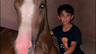 إشترينا مهر ثاني🤣🐎||تتوقعون ليش إشترينا الأمهار؟!نجم وأصلان🤎🐎