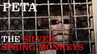 The Infamous Silver Spring Monkeys