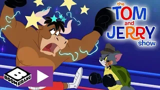 The Tom & Jerry Show | Tom Gets In The Ring | Boomerang UK 🇬🇧