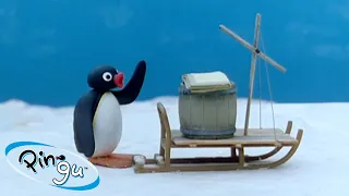 Pingu Explores the World | Pingu - Official Channel | Cartoons For Kids