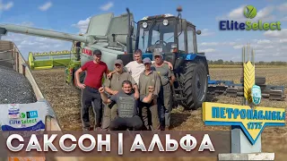 Ледь не побили🤞🤞 Всі залишились з врожаєм, успіх з Еліта Селект на Дніпропетровщині