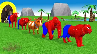 Paint Animals Spider-Man Elephant Goad Cow Gorilla Tiger Dinosaur Chicken  Fountain Crossing Animals