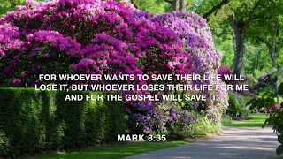 Mark 8:35