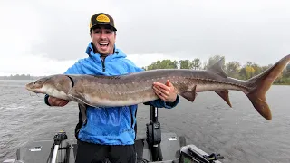 Sturgeon Secrets – Angling Edge TV