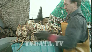 Magadan aboard Crab fishing vessel, crab fishing season in Russia, Deadliest Catch