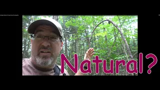 My Bigfoot Story Ep  68   Natural Chaos Or Something Else