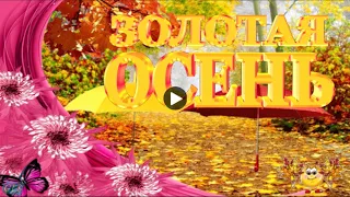 Счастливой осени желаю песня ЗОЛОТАЯ ОСЕНЬ Е. Войнов Красивое  поздравление autumn Видео открытка