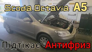 Skoda Octavia A5 підтікає антифриз, пічка погано гріє. Промивка системи охолодження.