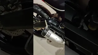 Ducati Scrambler Icon Exhaust Note🔥#shorts #ducati #ducatiindia #exhaust #stockexhaust #superbikes