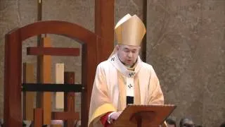 Homily: Solemnity of the Ascension of the Lord (5/20/2012)