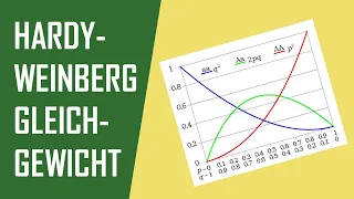 Hardy-Weinberg Gleichgewicht | Allelfrequenz, Genotypfrequenz - Mit Beispielrechnungen zur Übung