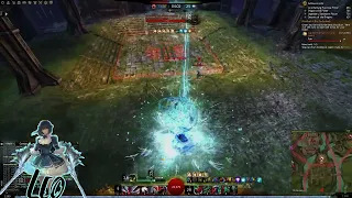 Power Herald Roaming [Sick] - GW2