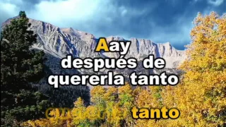 Alejandro Fernández - Como Quien pierde una Estrella karaoke letra lyric