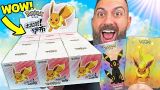 Pokemon's Secret $150 Box Has EVERY Eevee Card Inside!