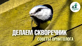 Орнитолог советует. Как правильно сделать скворечник?