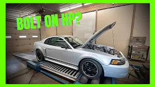 2002 Mustang | Bolt-on 4.6L 2v | Pump gas | Dyno Review