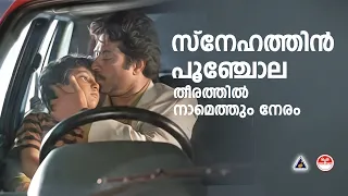 Snehathin poonchola Song | Pappayude Swantham Appus | KJ Yesudas | Bichu Thirumala | Ilayaraja