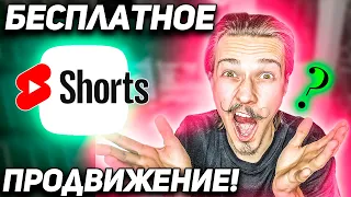 Youtube Shorts отчет по каналу! Как увеличить просмотры ютуб канала? Был ли бурный рост?